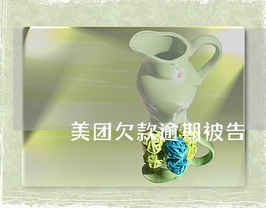 美团欠款逾期被告 美团欠款逾期被告