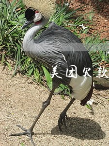 美团欠款逾期要上门违法吗 美团欠款逾期要上门违法吗