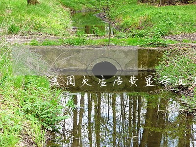美团欠生活费显示没有逾期了 美团欠生活费显示没有逾期了