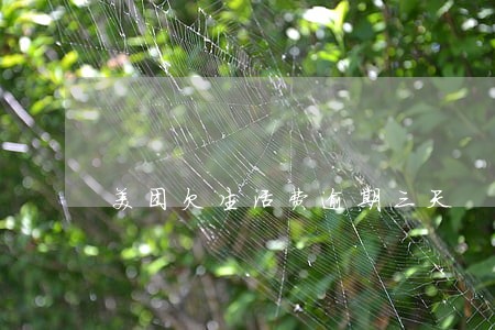 美团欠生活费逾期三天 美团欠生活费逾期三天