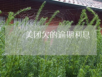 美团欠的逾期利息