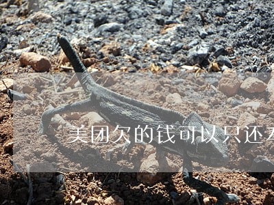 美团欠的钱可以只还本金吗