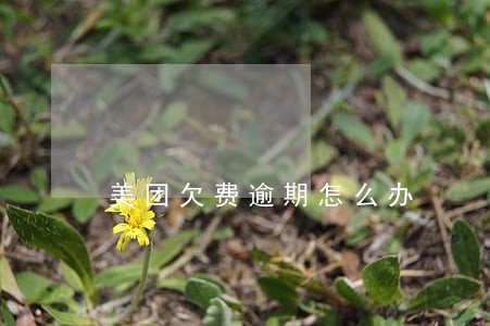 美团欠费逾期怎么办 美团欠费逾期怎么办