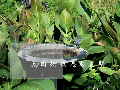 美团欠钱恶意逾期 美团欠钱恶意逾期