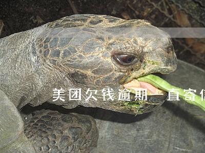 美团欠钱逾期一直寄信到老家 美团欠钱逾期一直寄信到老家