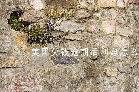 美团欠钱逾期后利息怎么算 美团欠钱逾期后利息怎么算