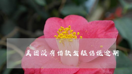 美团没有借款发短信说逾期 美团没有借款发短信说逾期