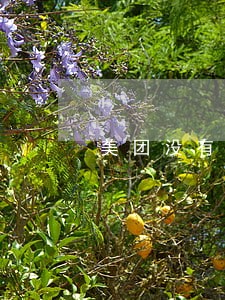 美团没有逾期上征信系统吗