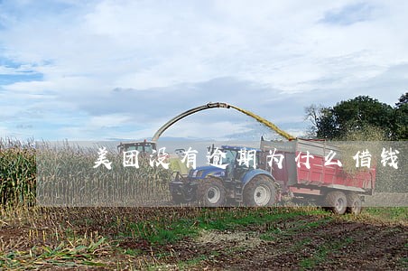 美团没有逾期为什么借钱失败了 美团没有逾期为什么借钱失败了