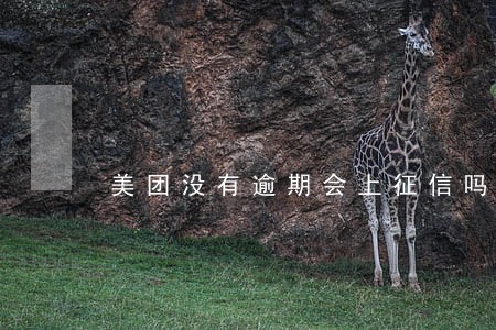 美团没有逾期会上征信吗 美团没有逾期会上征信吗