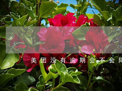 美团没有逾期会不会降额度