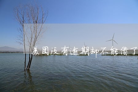 美团没有逾期却不能借了 美团没有逾期却不能借了
