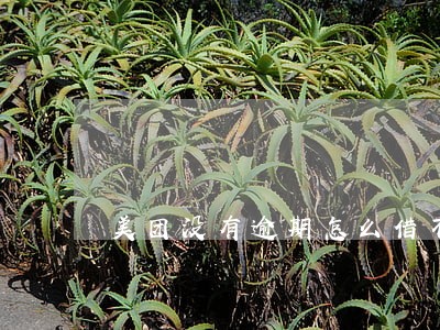 美团没有逾期怎么借不了 美团没有逾期怎么借不了