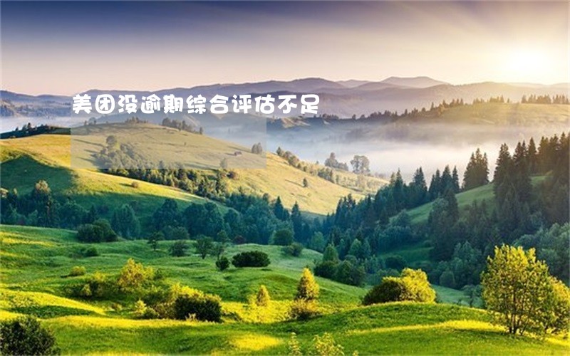 美团没逾期综合评估不足 美团没逾期综合评估不足