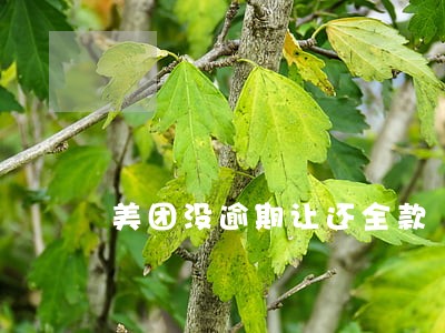 美团没逾期让还全款 美团没逾期让还全款