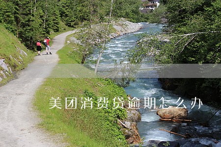 美团消费贷逾期怎么办 美团消费贷逾期怎么办