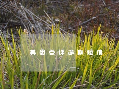 美团点评逾期短信 美团点评逾期短信