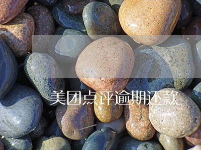 美团点评逾期还款