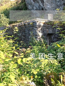 美团生意贷几天为逾期 美团生意贷几天为逾期