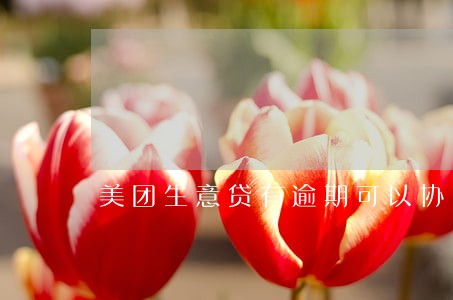 美团生意贷有逾期可以协商吗 美团生意贷有逾期可以协商吗