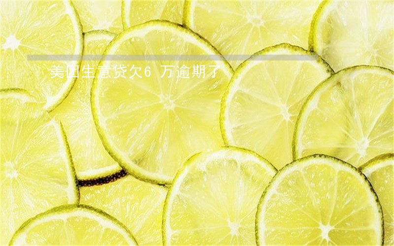 美团生意贷欠6万逾期了 美团生意贷欠6万逾期了