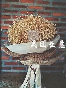 美团生意贷逾期10天 美团生意贷逾期10天