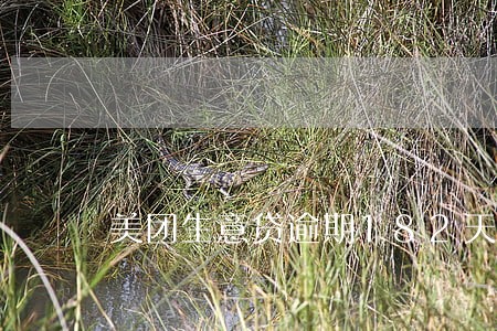 美团生意贷逾期182天 美团生意贷逾期182天