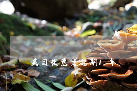 美团生意贷逾期1年 美团生意贷逾期1年