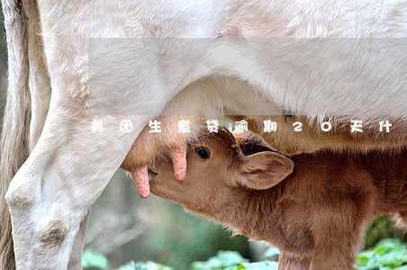 美团生意贷逾期20天什么后果 美团生意贷逾期20天什么后果