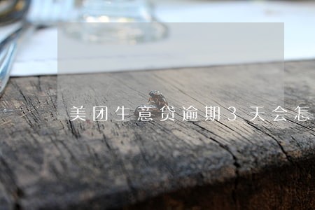 美团生意贷逾期3天会怎么样 美团生意贷逾期3天会怎么样