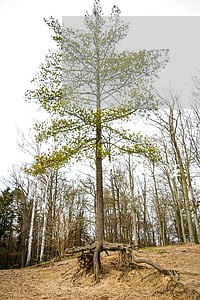 美团生意贷逾期5天还了还能借吗 美团生意贷逾期5天还了还能借吗
