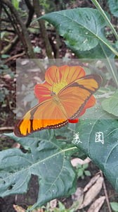 美团生意贷逾期5年 美团生意贷逾期5年