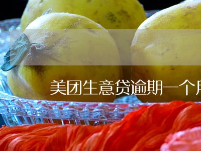 美团生意贷逾期一个月 美团生意贷逾期一个月