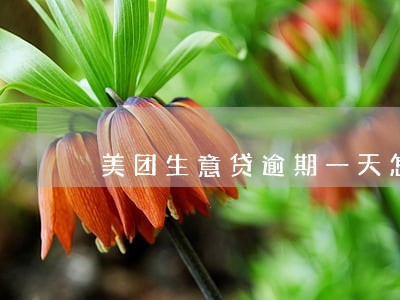 美团生意贷逾期一天怎么消除 美团生意贷逾期一天怎么消除