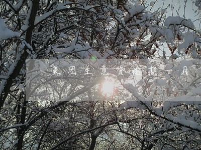 美团生意贷逾期一月 美团生意贷逾期一月