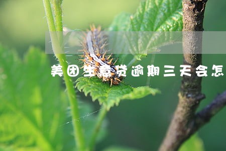 美团生意贷逾期三天会怎样 美团生意贷逾期三天会怎样