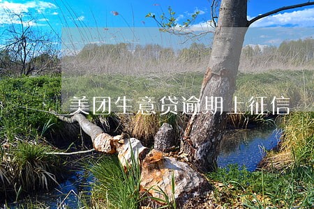 美团生意贷逾期上征信 美团生意贷逾期上征信