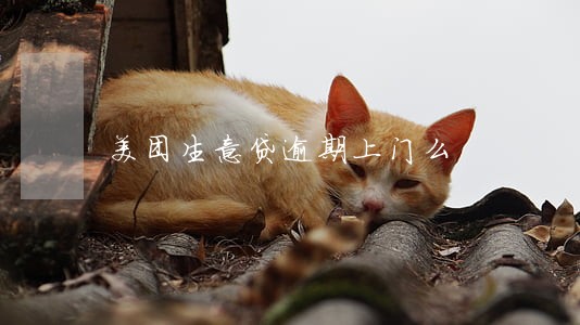 美团生意贷逾期上门么 美团生意贷逾期上门么