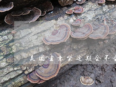 美团生意贷逾期会不会上门 美团生意贷逾期会不会上门