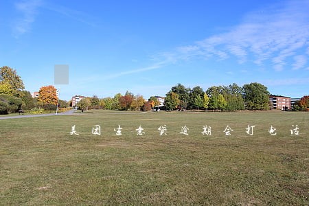 美团生意贷逾期会打电话 美团生意贷逾期会打电话
