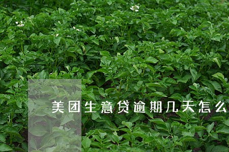 美团生意贷逾期几天怎么办 美团生意贷逾期几天怎么办
