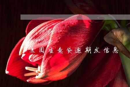 美团生意贷逾期发信息 美团生意贷逾期发信息