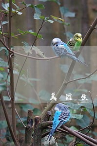 美团生意贷逾期各种警告 美团生意贷逾期各种警告
