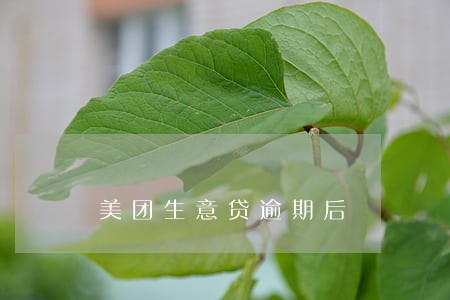 美团生意贷逾期后 美团生意贷逾期后