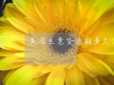 美团生意贷逾期多久上失信名单 美团生意贷逾期多久上失信名单