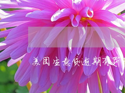 美团生意贷逾期有罚息吗 美团生意贷逾期有罚息吗
