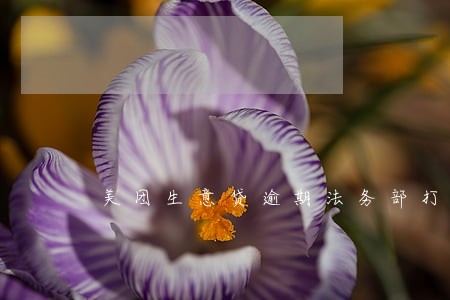 美团生意贷逾期法务部打电话 美团生意贷逾期法务部打电话