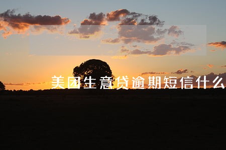 美团生意贷逾期短信什么模式 美团生意贷逾期短信什么模式