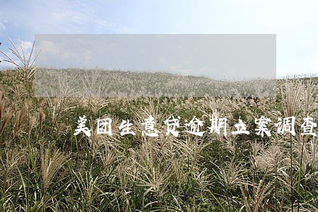 美团生意贷逾期立案调查 美团生意贷逾期立案调查