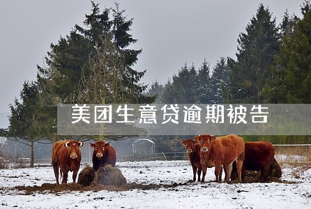 美团生意贷逾期被告 美团生意贷逾期被告